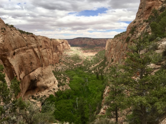Aspen Trail at Navajo National Monument