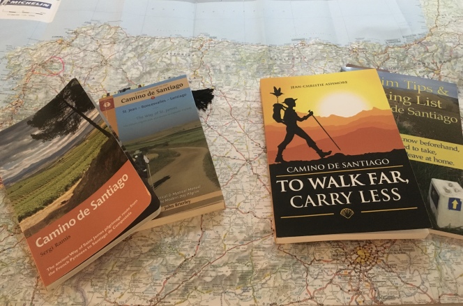guidebooks & packing books