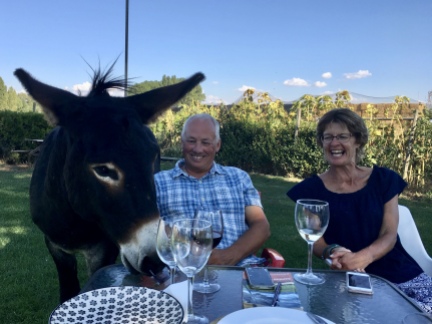 Donkey with Simon and Karen at Vilarmentero de Campos