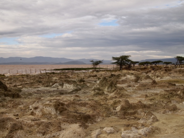 pumice stone ecozone at Lake Langano