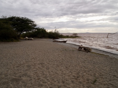 beach at Lake Langano