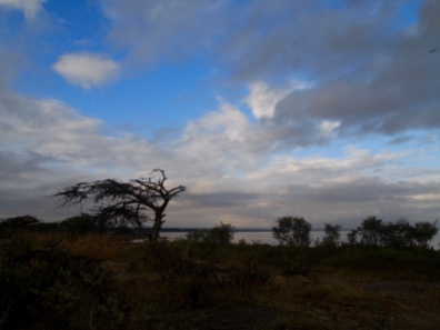 Lake Langano after sunrise