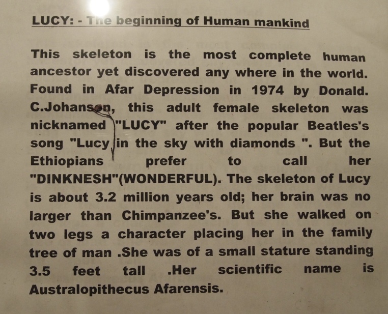 LUCY: The beginning of human mankind