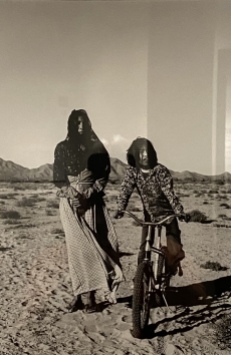 Sonoran Desert, 1979