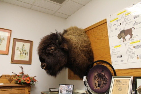 bison head in the Madison County Historical Society Museum