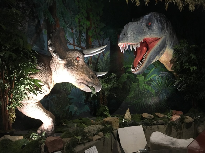 Triceratops and T.Rex