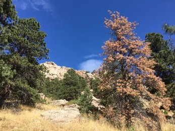 Arthur's Rock Trail