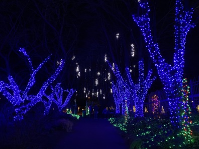 Winter Walk of Lights at Meadowlark Gardens, Vienna, VA