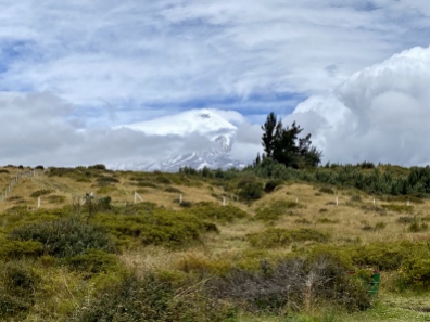 Volcán Cotopaxi from Los Mortiños
