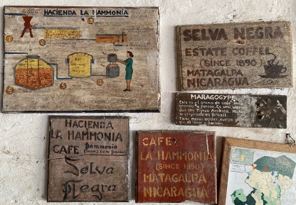 signs at Selva Negra