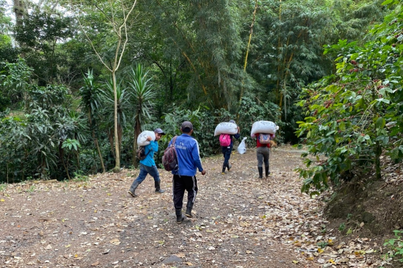 workers head to lunchtime at Selva Negra